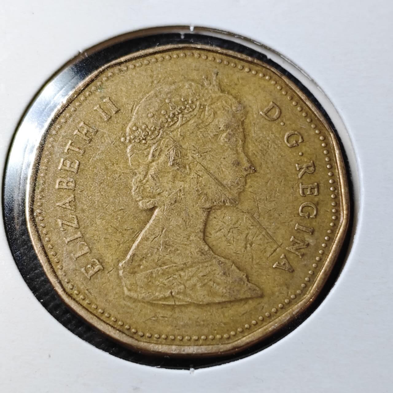 KK钱币收藏小铺  第358场  2月预留时间 周末发货  加拿大1元