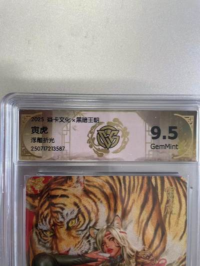 寸草不生拍卖会 第十二期 - 2025 焱卡文化x黑暗王朝
寅虎
浮雕折光