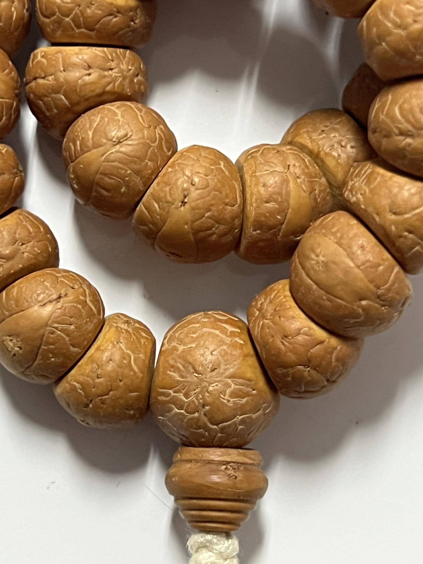 零元拍：W1-8 精工凤眼大肠 14.5 手持