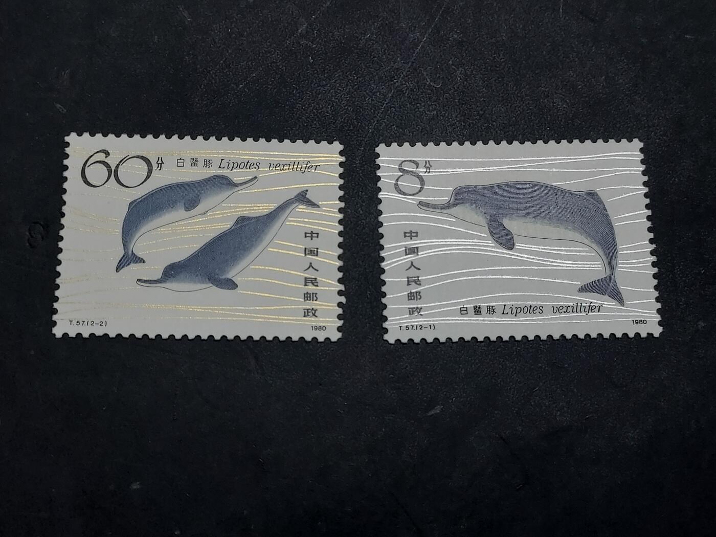 博彦收藏  11月3日 8点 邮票专场 白暨豚新全 全品