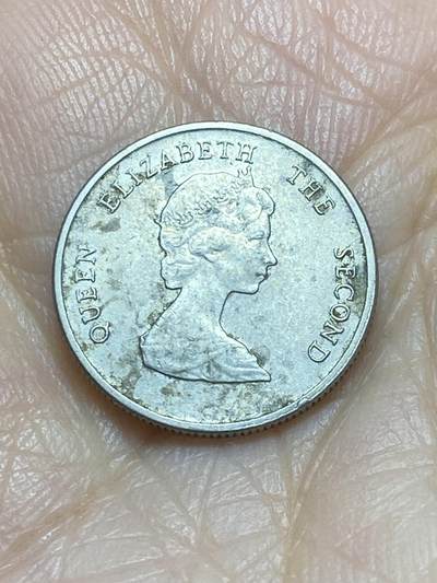 2025年第一百一十七场(总第一百四十三场）外国好品散币(免佣金) 东加勒比1996年10分(伊丽莎白二世中年花冠)