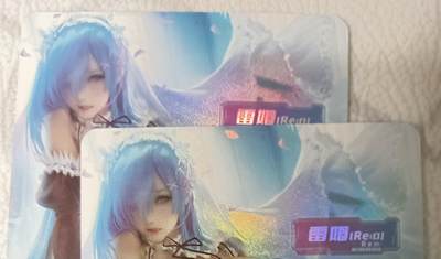 花开卡拍第44期（10月26号周日截拍，品控勿拍!!!拍品不寄存，运费5元，自制卡难免瑕疵，可能存在轻微撞角爆边等出厂瑕疵，品控介意勿拍！） - 冰狗卡牌 雷姆 艺术对卡 1套2张 彩闪