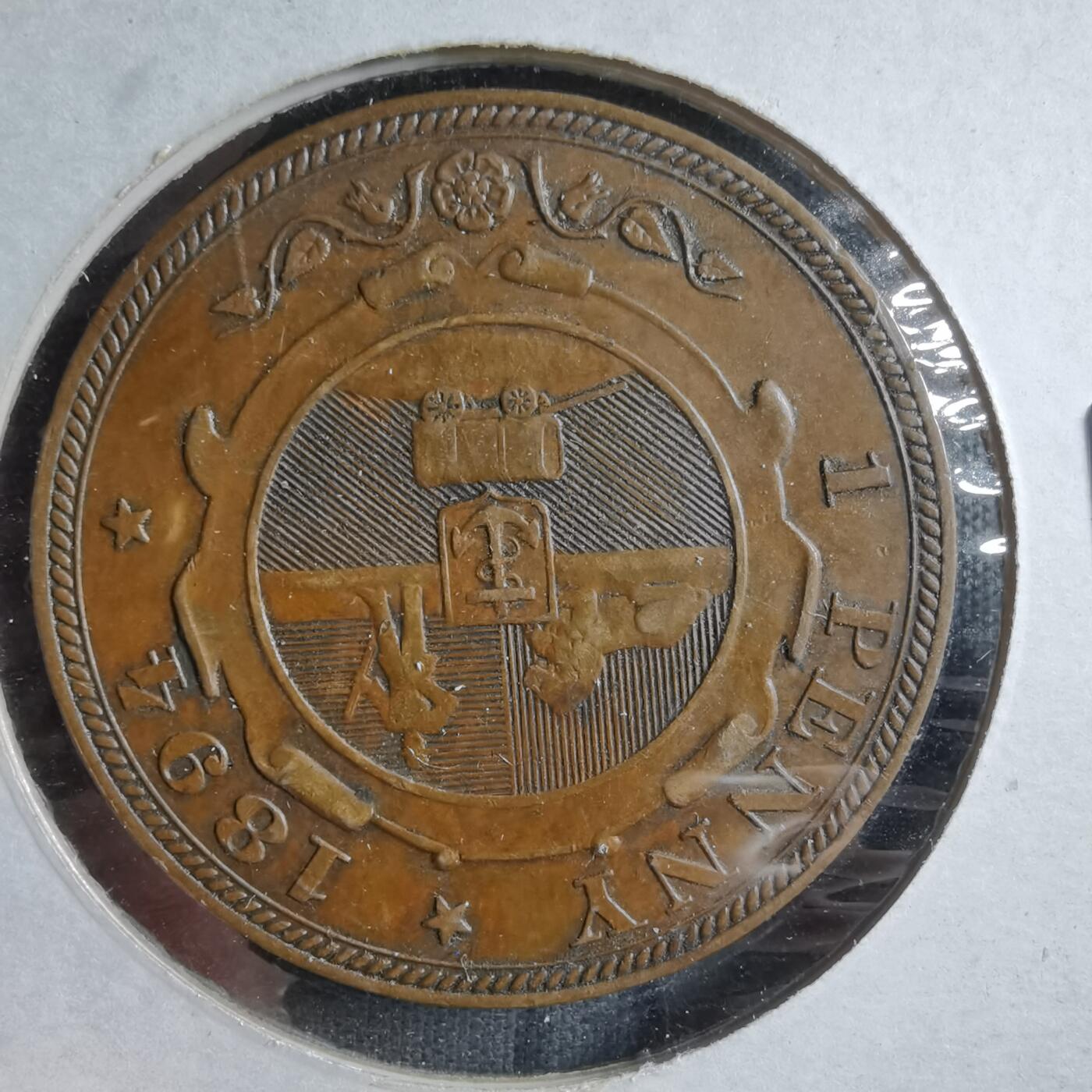 沼泽如烟--第887场 南非1894年1便士