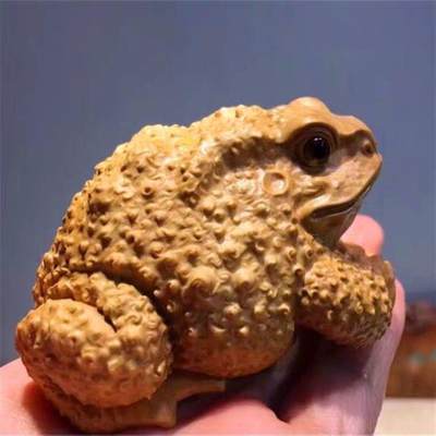 听雨轩（九） - 崖柏手工精雕金蟾抱球手把件 