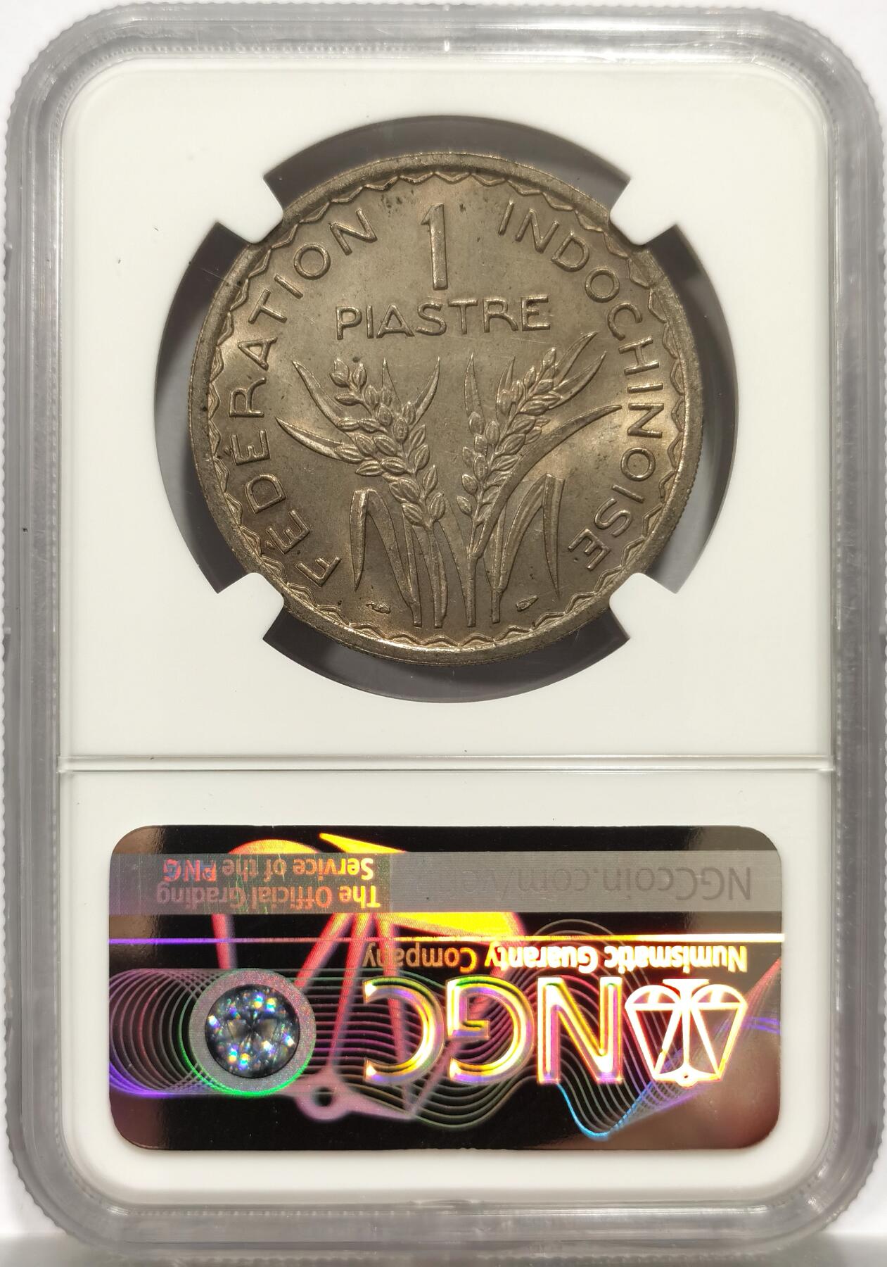 博洋堂“物美丰成”11月精品专场暨第145期（全场包邮）