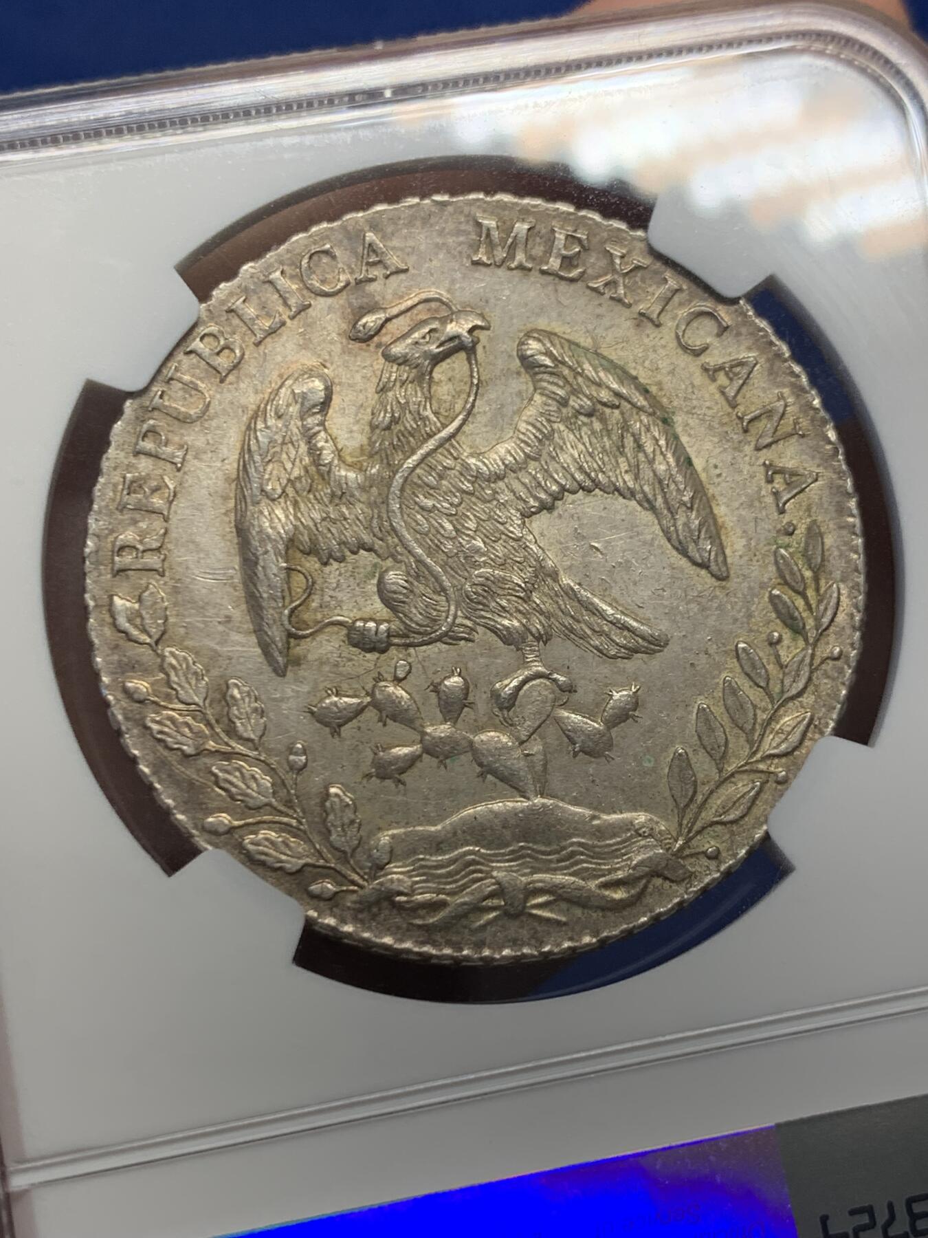 《竞宝斋》第432场 周日，周一 2场连拍 （全场包邮） NGC MS61 墨西哥1886年MO MH版花边鹰洋8R银币，漂亮黄油包浆