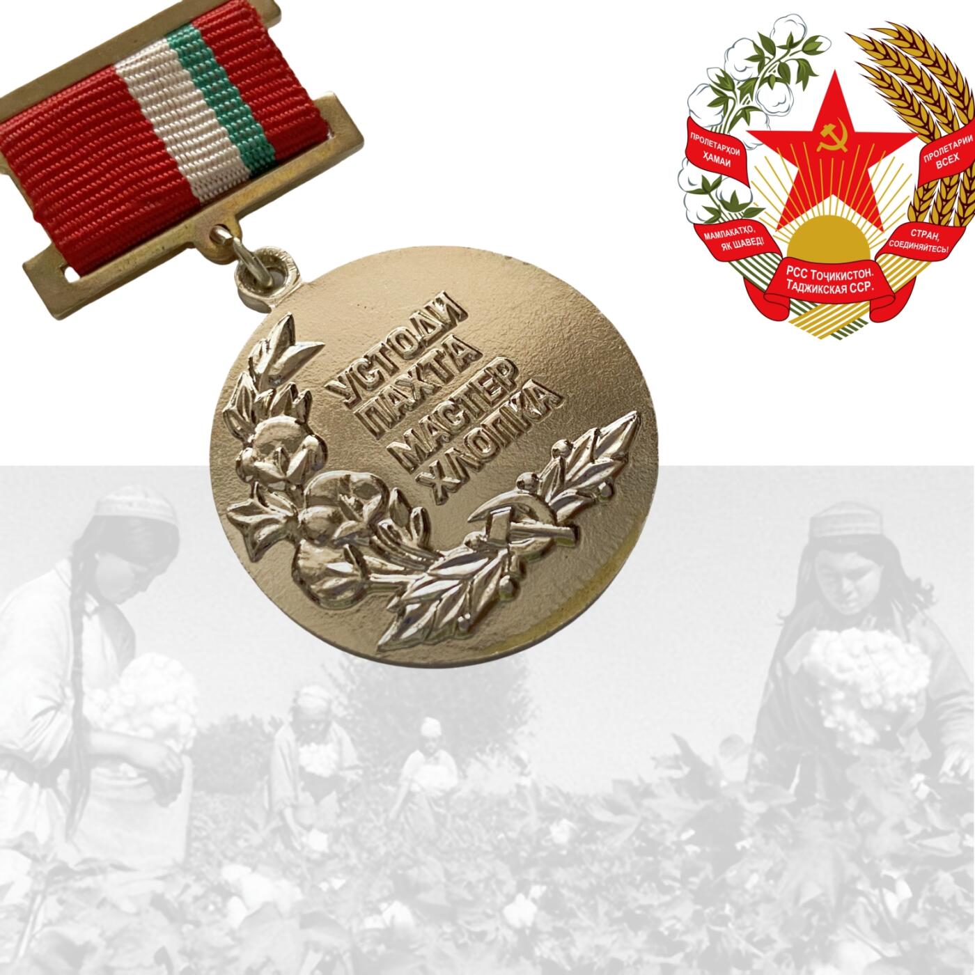 熹将军2025年秋冬小拍13 总54期