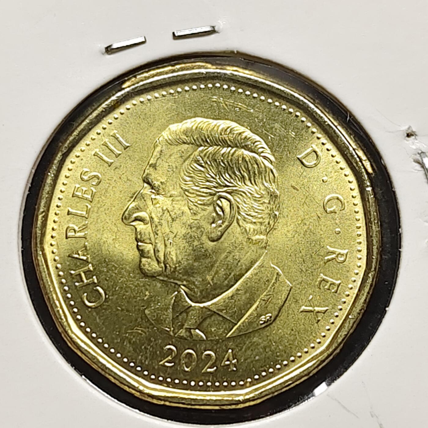 【全场包邮】纯粹捡漏拍472场（免费代拍第9场） 加拿大2024年1元儿童文学家L M·蒙哥马利诞生150周年彩色纪念币