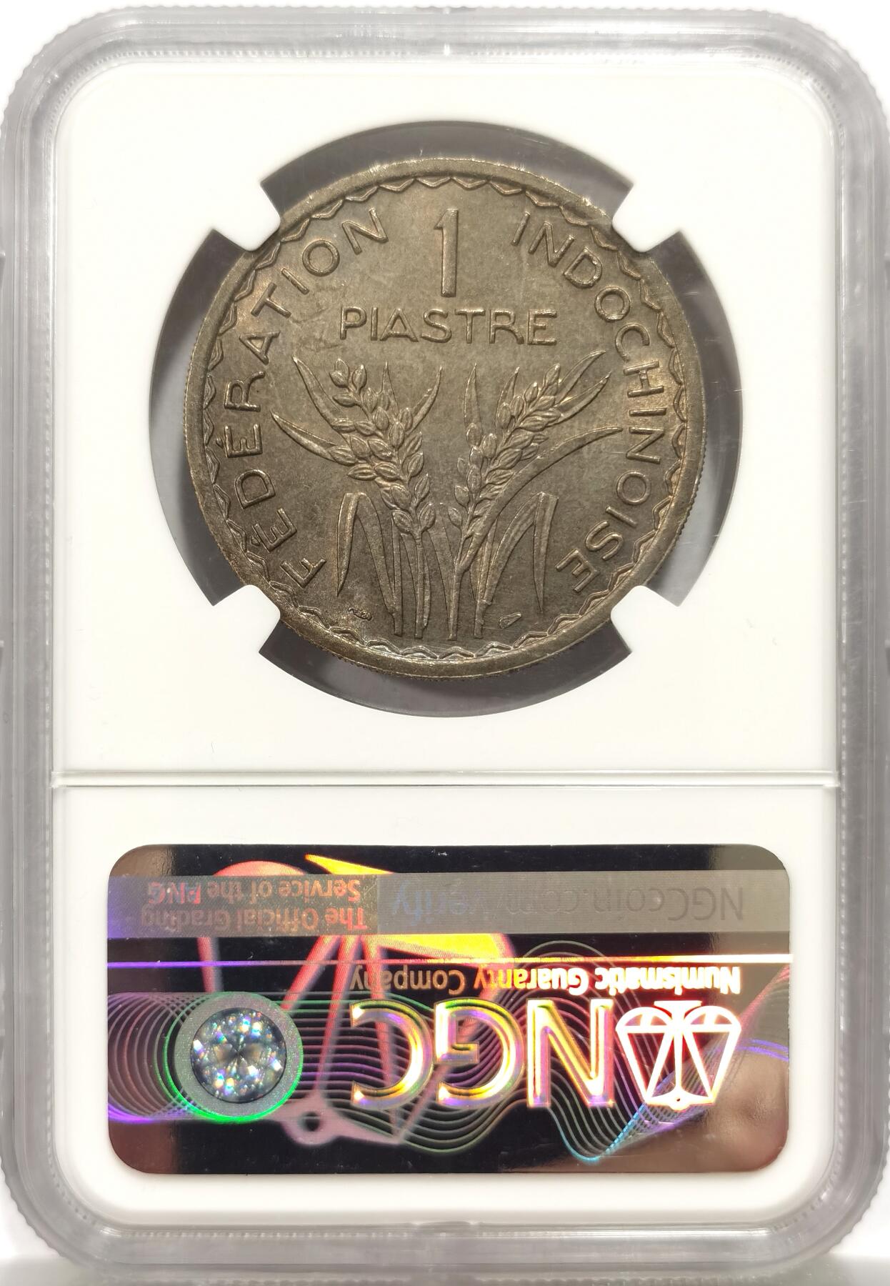 博洋堂“物美丰成”11月精品专场暨第145期（全场包邮）