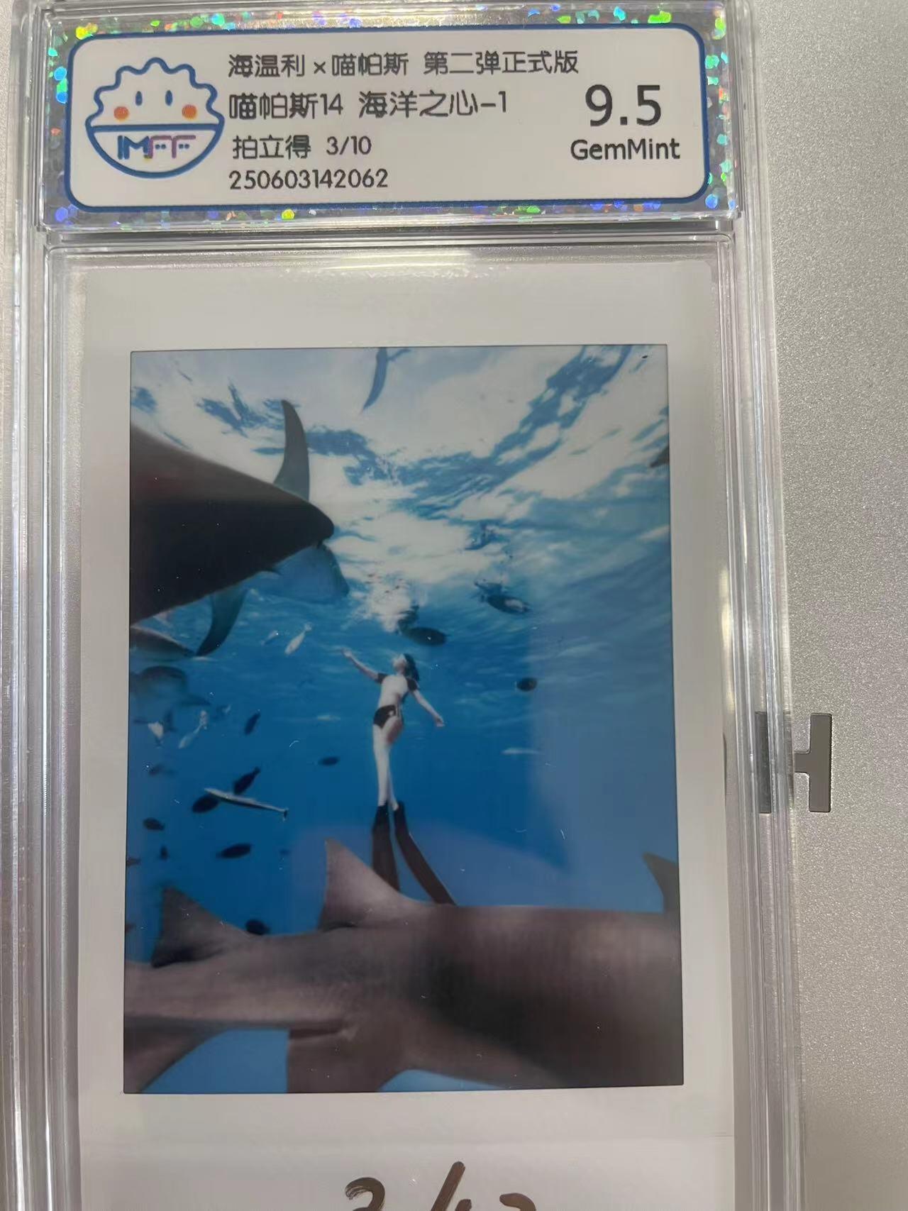 寸草不生拍卖会 第十二期