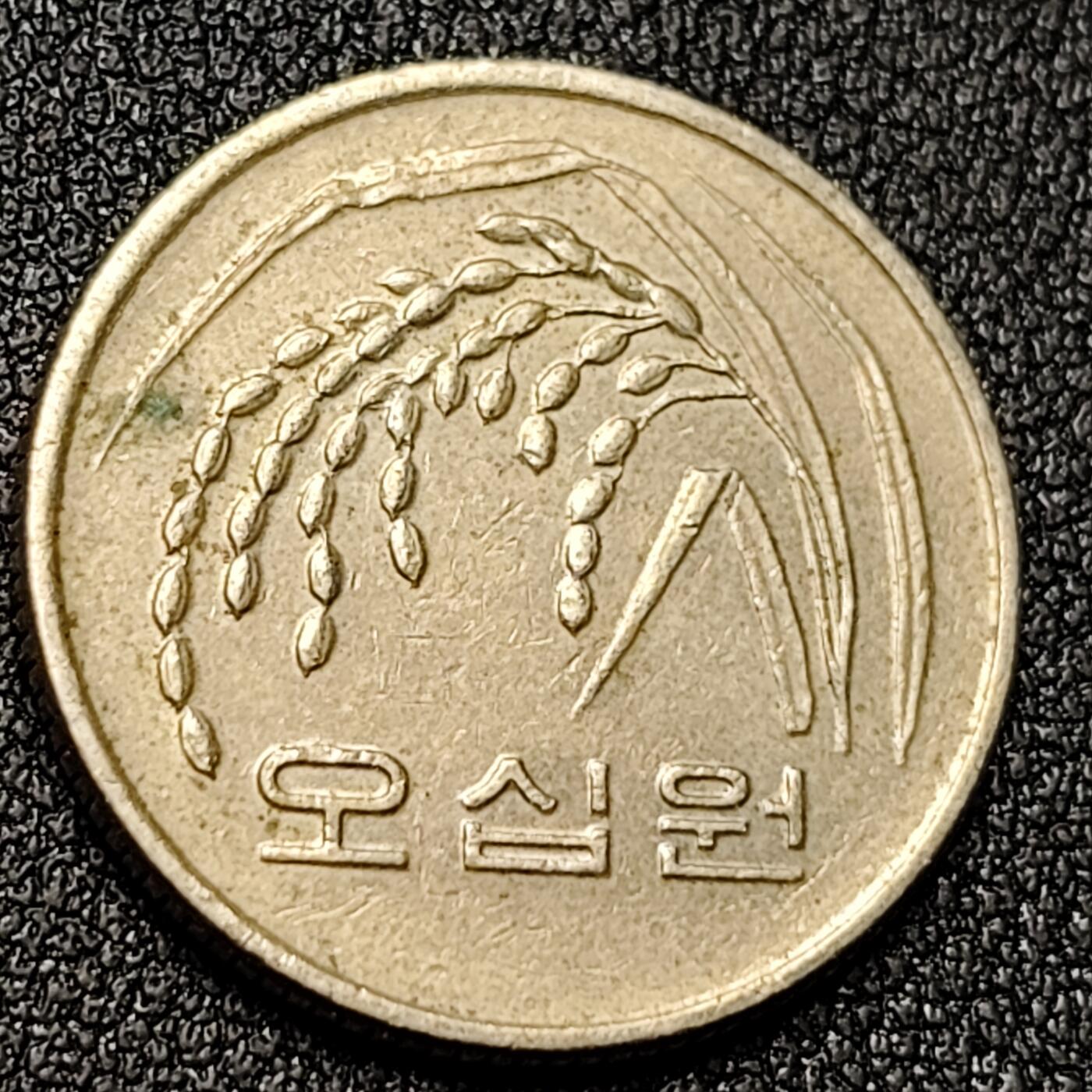 泉币菌-第117场-精品福利场 。