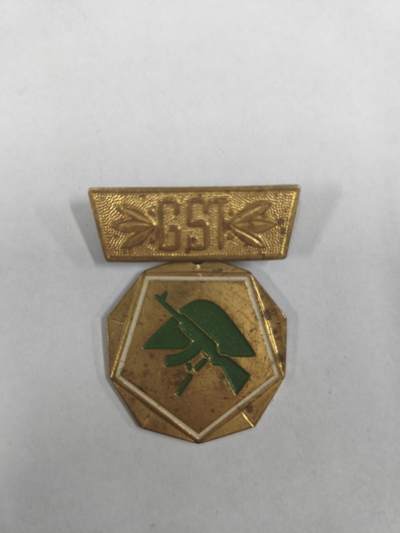 韵星假日拍卖第二十九期 -- Rimey Holidays Auction 29 - 民主德国体育与技术协会设计荣誉证章