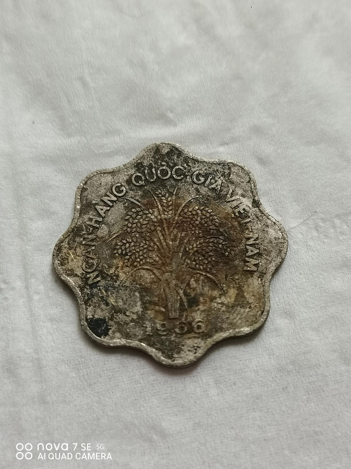 硬币