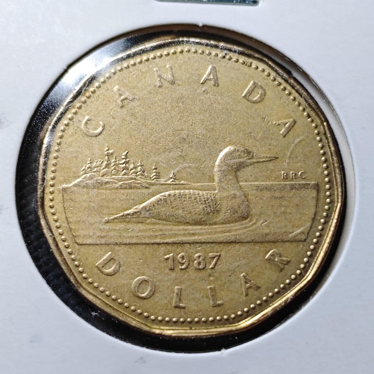 KK钱币收藏小铺  第359场  2月预留时间 周末发货  加拿大1元