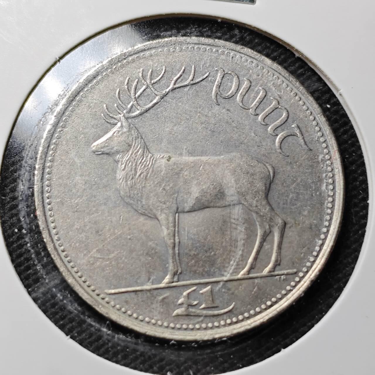 KK钱币收藏小铺  第359场  2月预留时间 周末发货  爱尔兰1镑