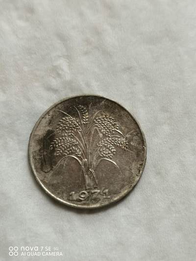 硬币 - 71年越南稻穗1盾
