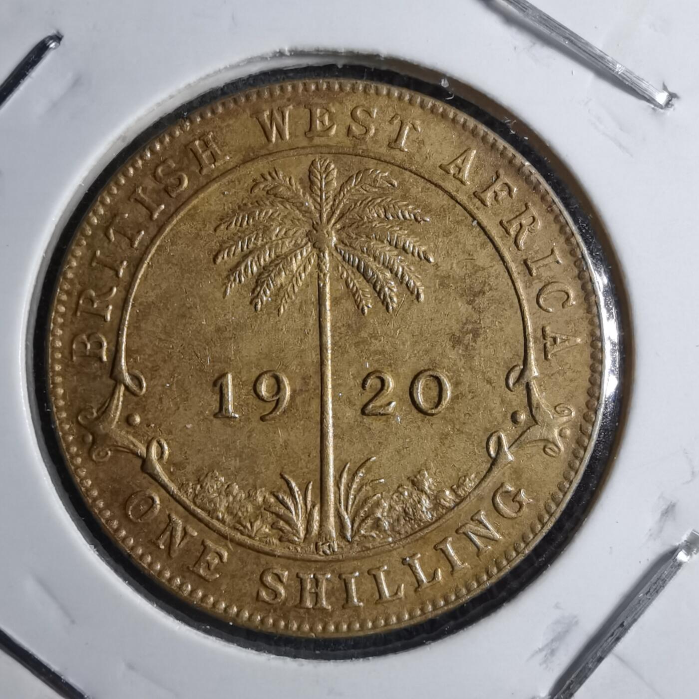 沼泽如烟--第887场 英属西非1920年1先令