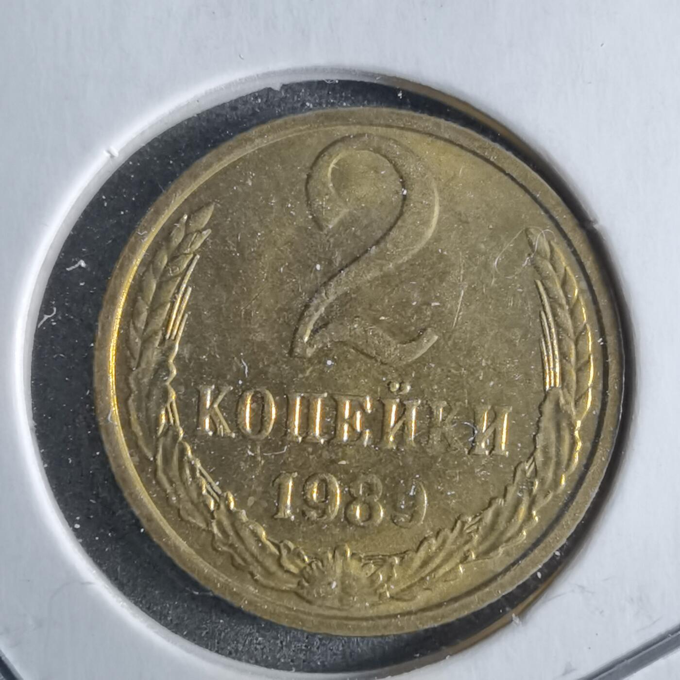 沼泽如烟--第887场 苏联1989年2戈比