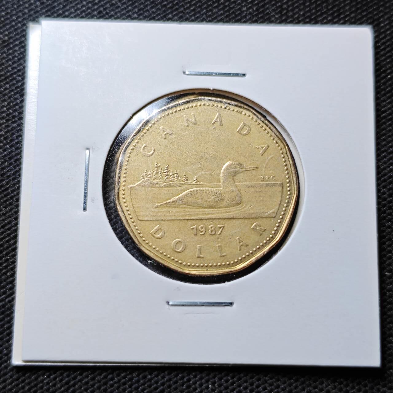 KK钱币收藏小铺  第359场  2月预留时间 周末发货  加拿大1元