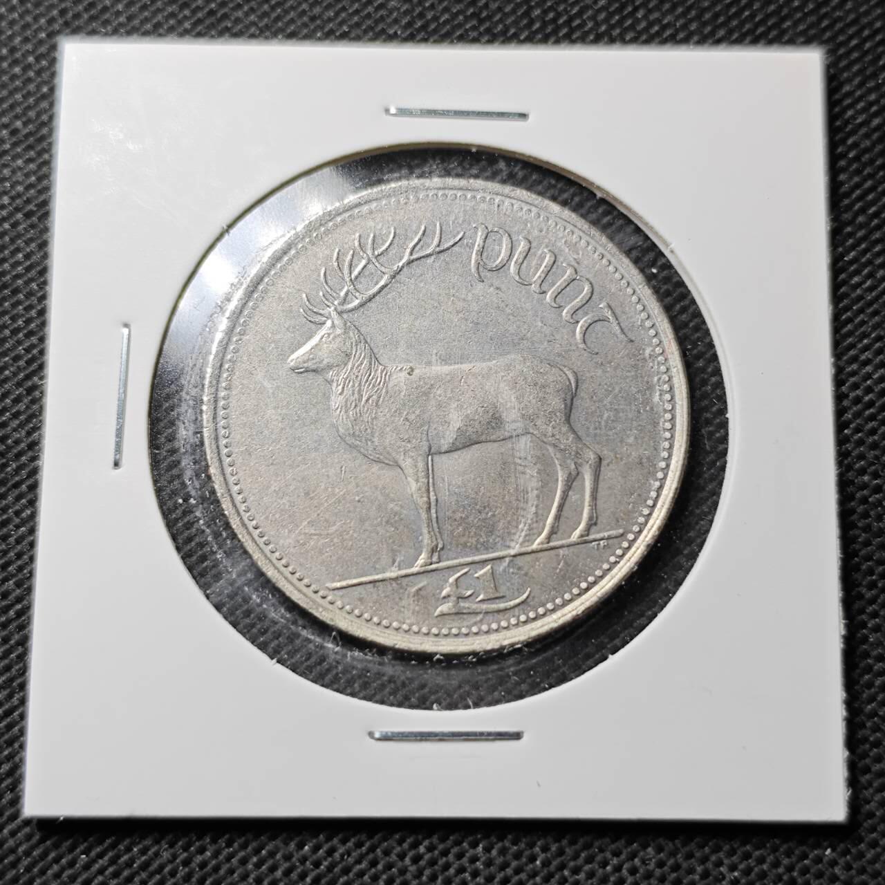 KK钱币收藏小铺  第359场  2月预留时间 周末发货  爱尔兰1镑