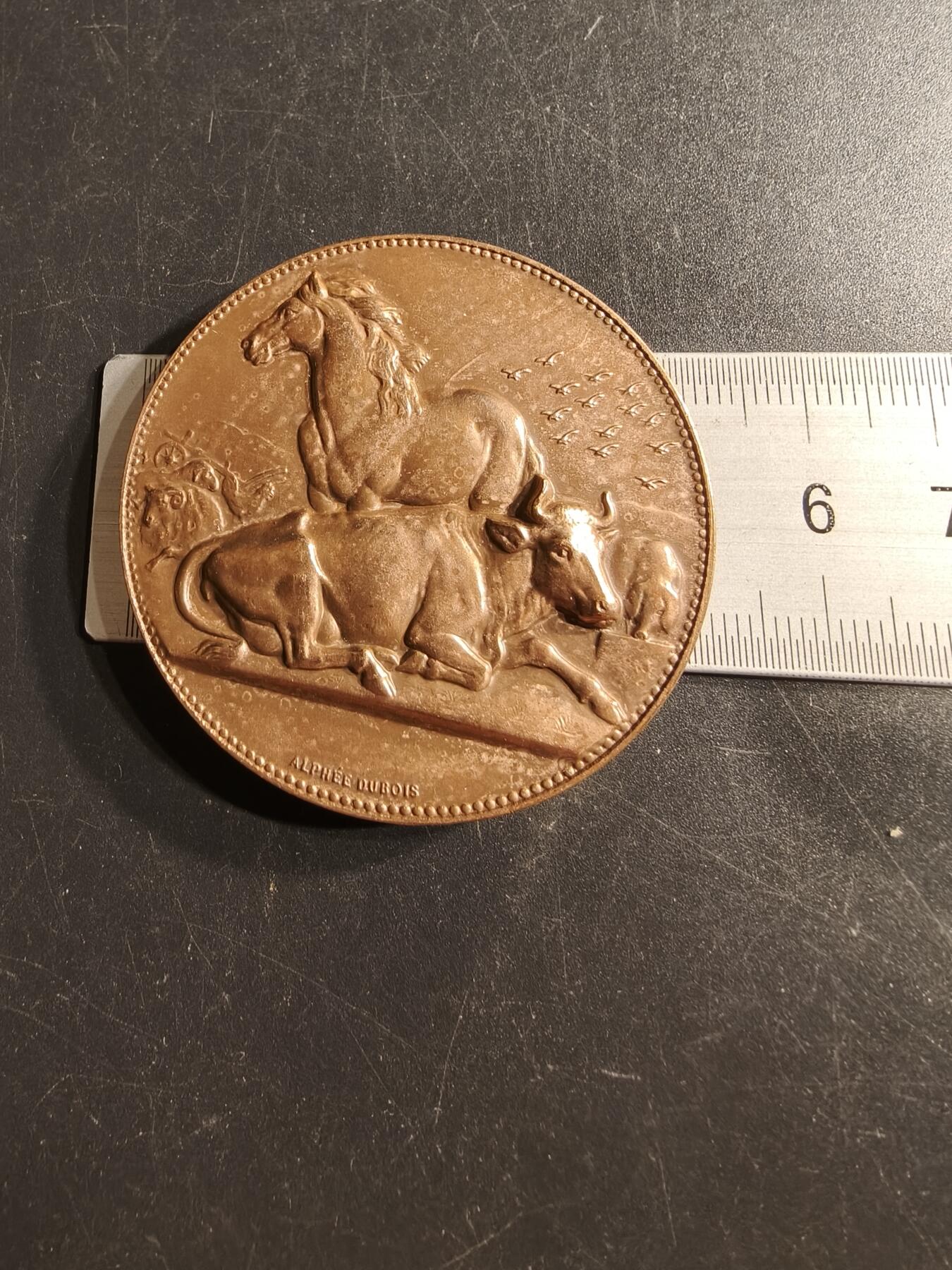 老王徽章第159期 法国养殖业大铜章     阿尔菲杜布瓦作品    直径50mm.   重量64.3g