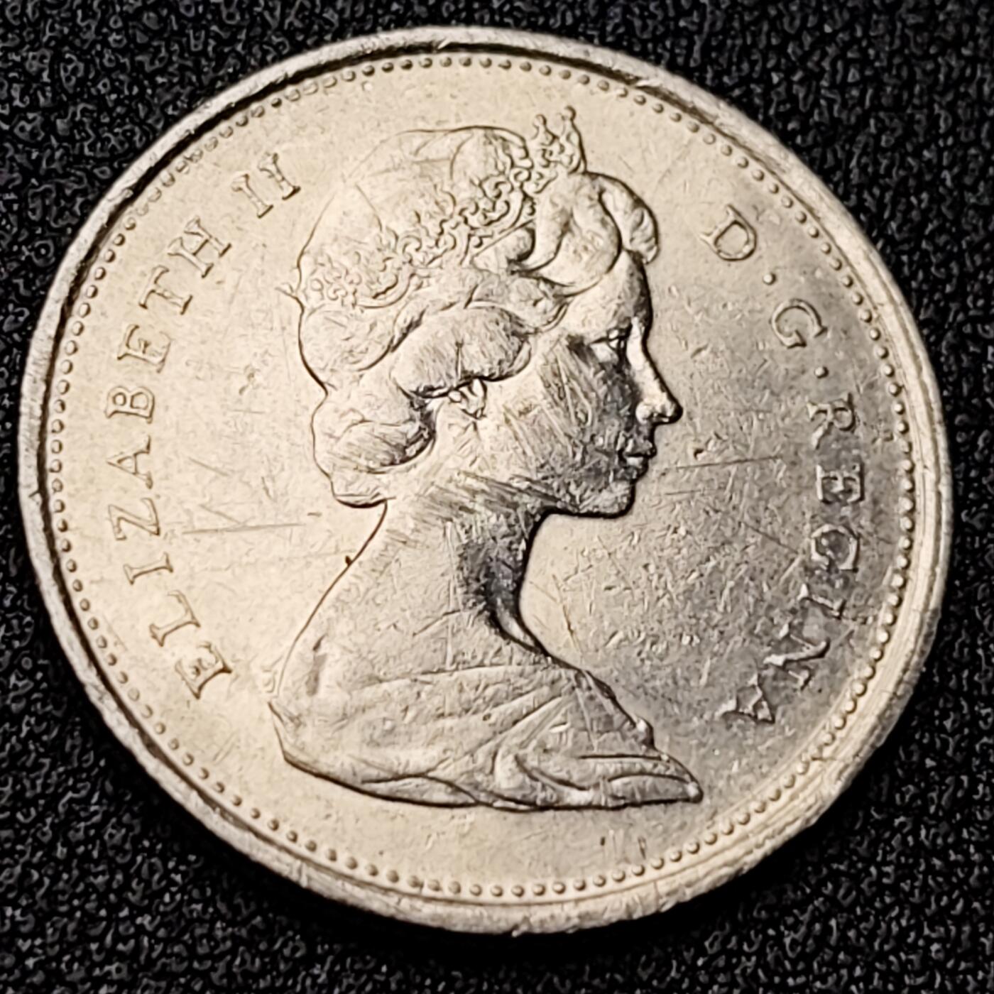 泉币菌-第118场-精品福利场