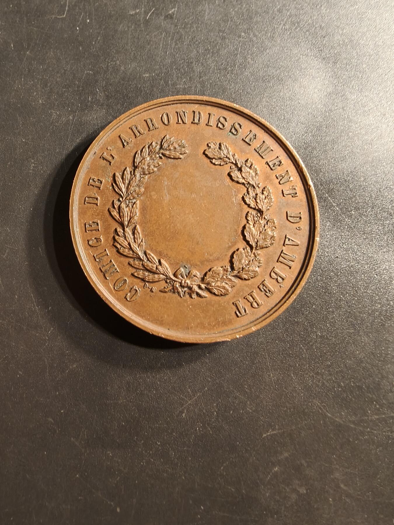 老王徽章第159期 法国多姆山省议会赠大铜章     直径46mm.   重量46.6g