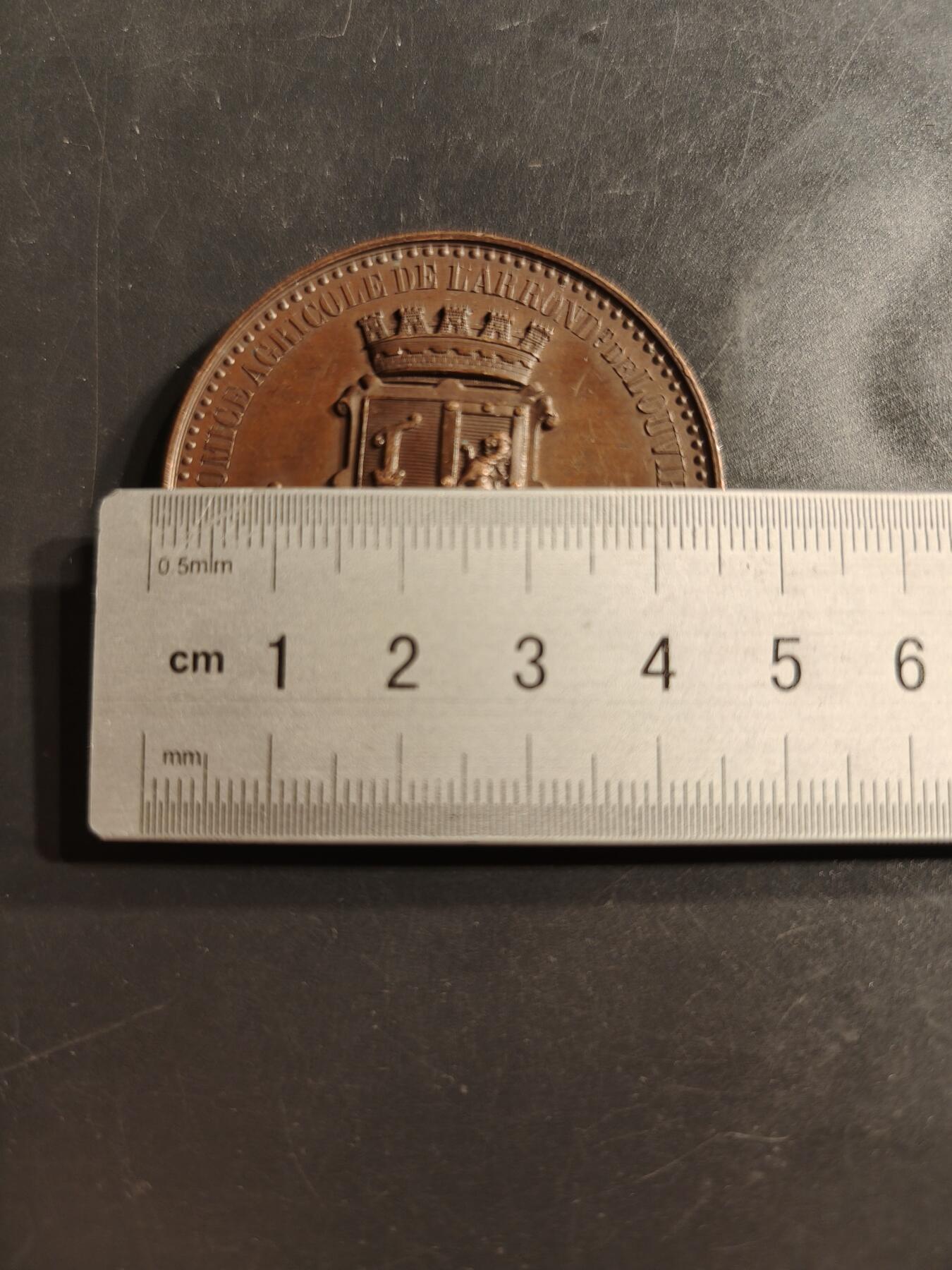 老王徽章第159期 法国卢维耶农业协会大铜章    cuivre铜标     直径46mm.   重量45.3g