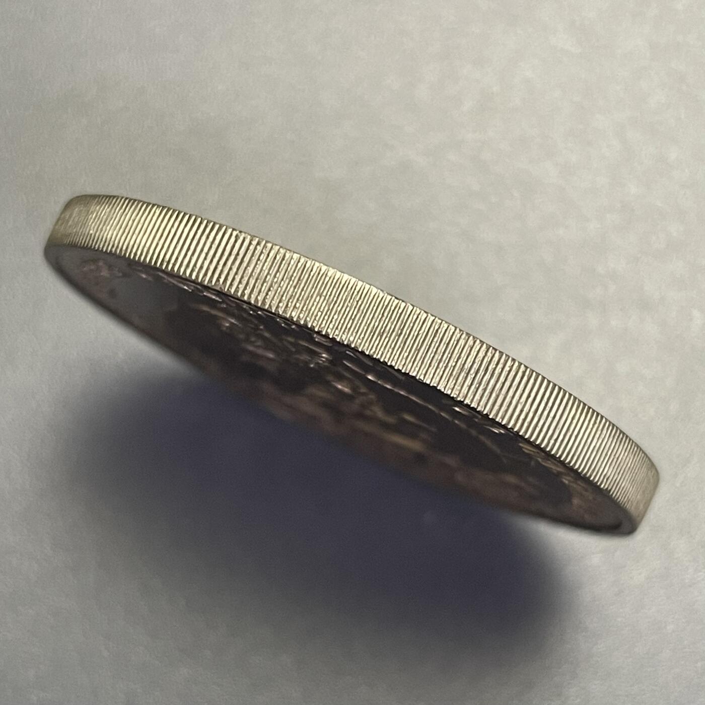 回流1115 圣卢西亚1970年4元大铜镍币 FAO系列名誉品 香蕉币 稀少品种 全新品相