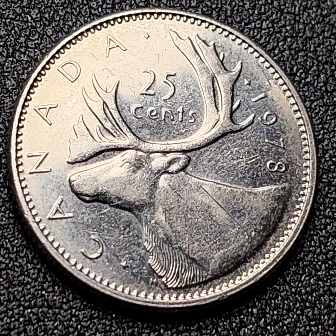 泉币菌-第118场-精品福利场