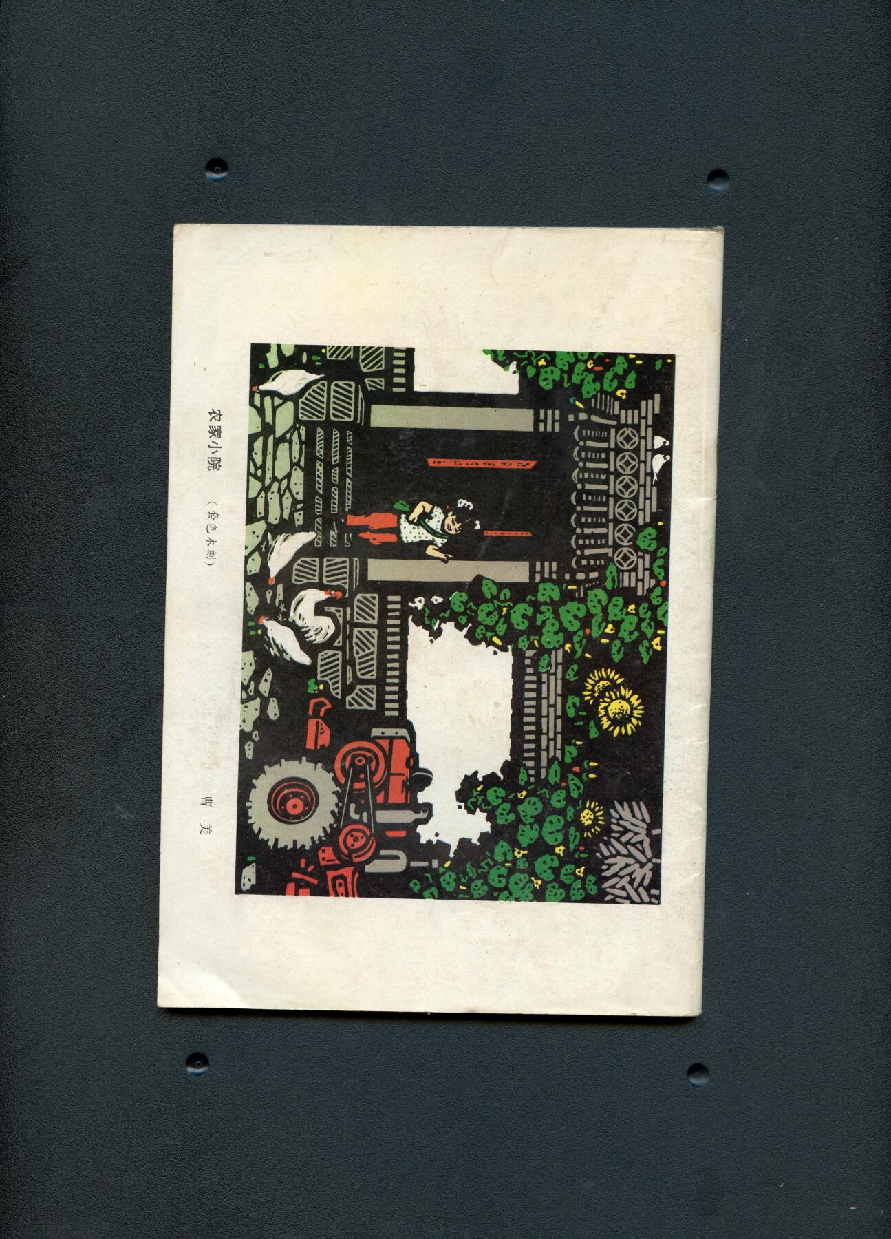 沧河堂060 1984年 新农家