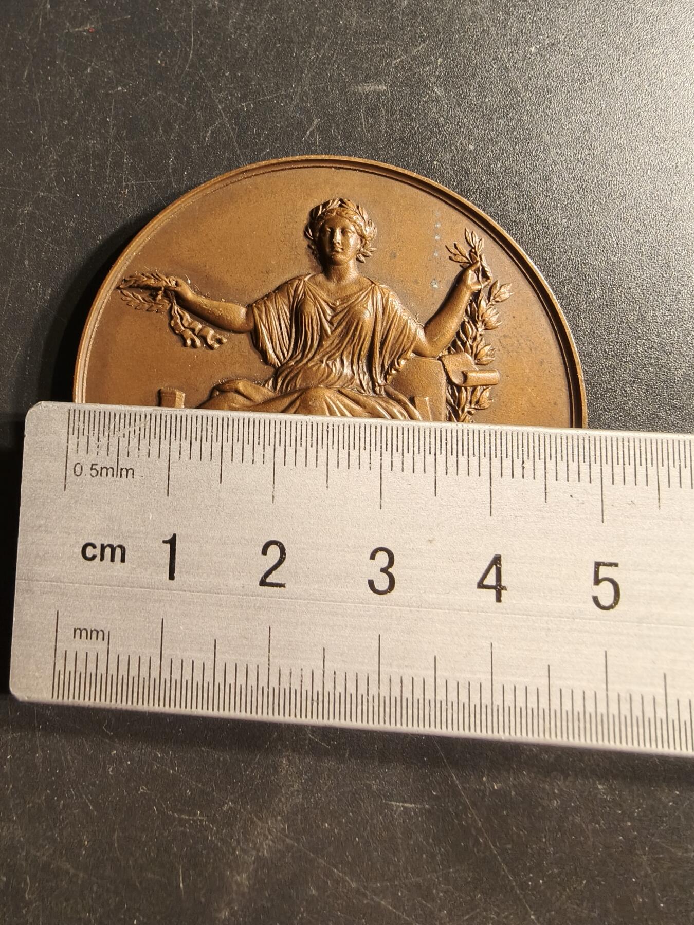 老王徽章第159期 法国北部地区参议院赠大铜章    Bovy作品    直径50mm.   重量65.4g