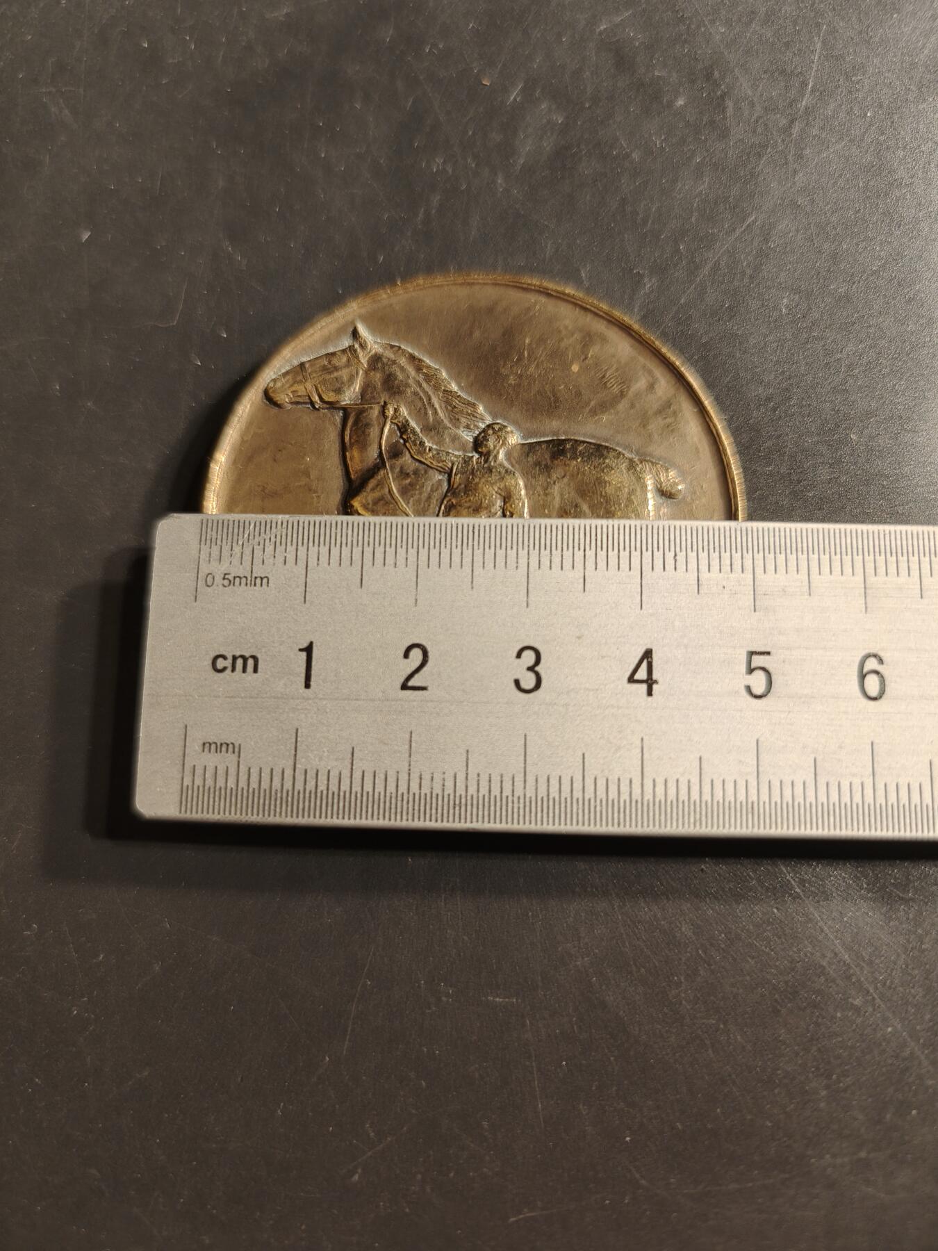 老王徽章第159期 法国农业部巴黎中央马术竞赛大铜章    直径50mm.   重量62.2g