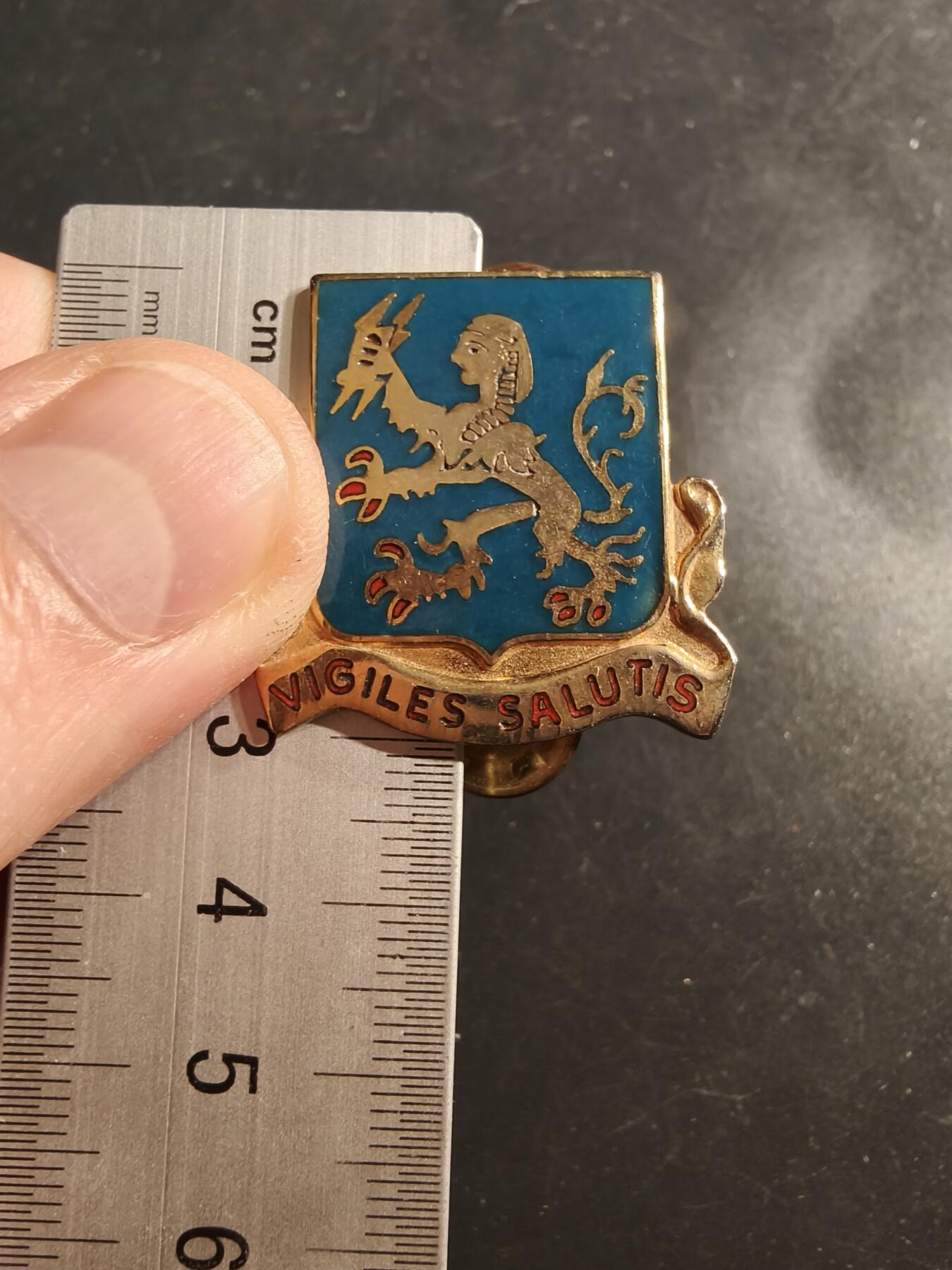 老王徽章第159期 美国陆军安全局学校证章     铜质珐琅    早期大尺寸30mm