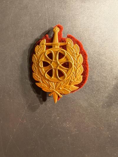 老王徽章第159期 - 丹麦陆军后勤团帽徽     底衬完整