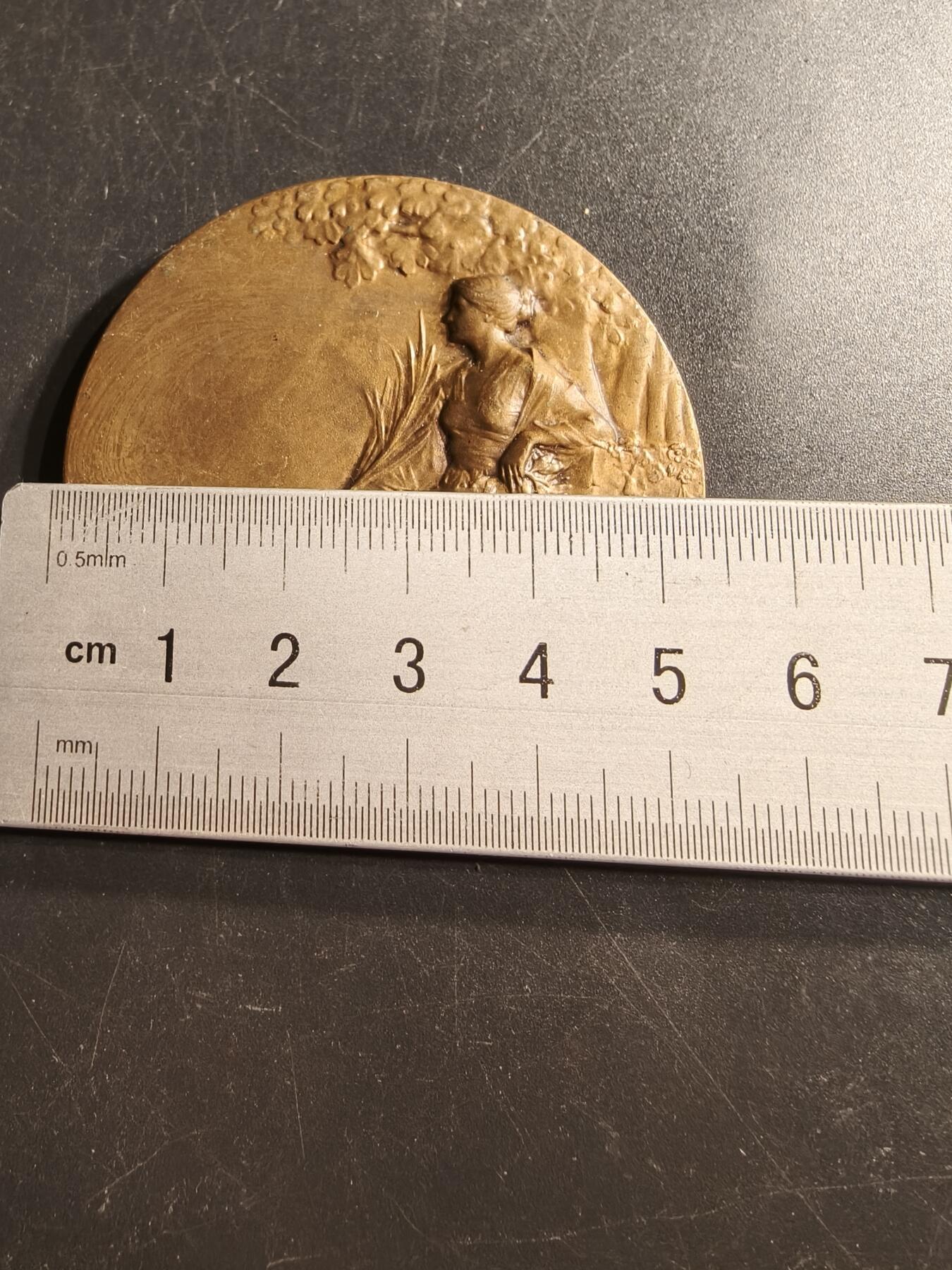 老王徽章第159期 法国勒内·博迪雄大铜章      直径54mm.   重量79.2g