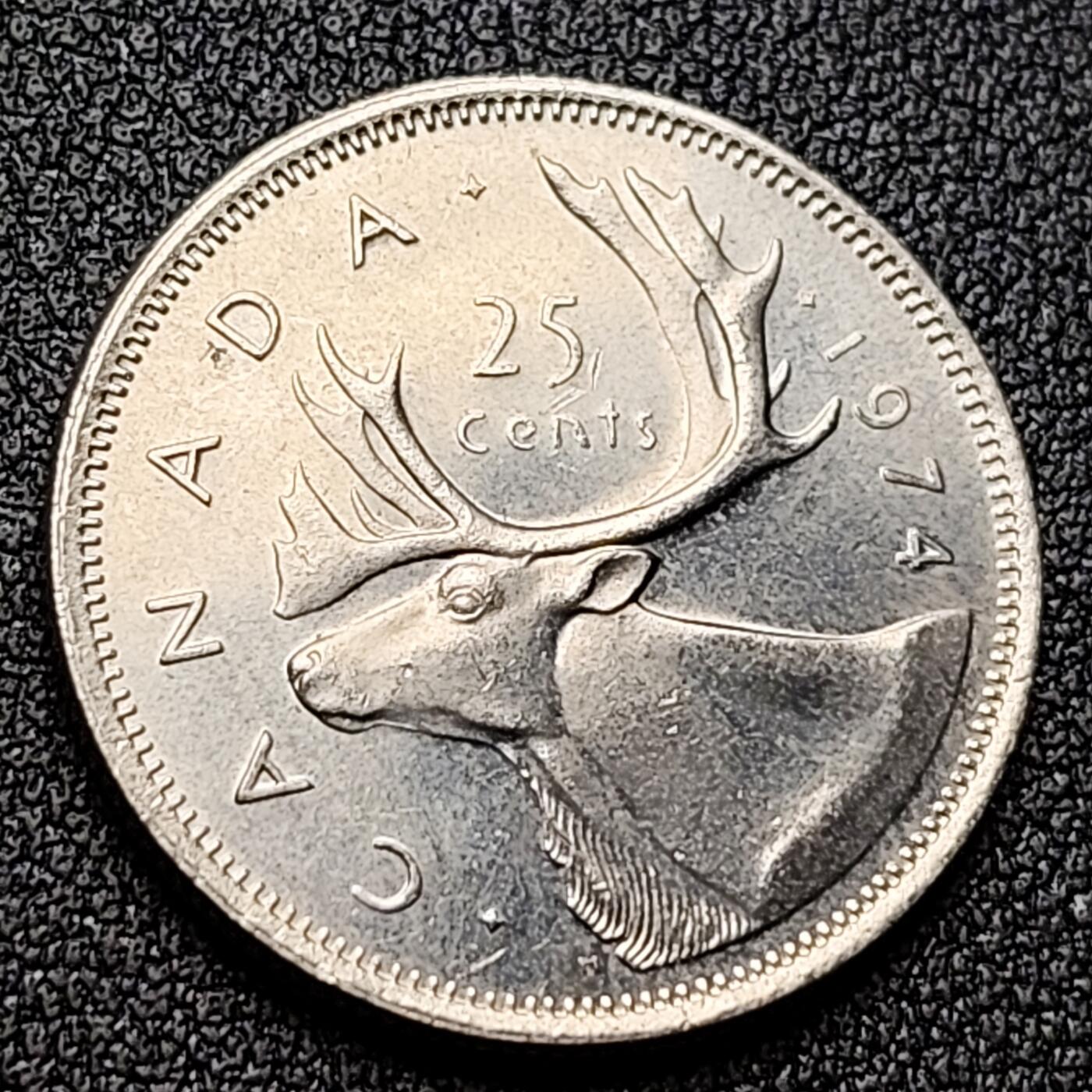 泉币菌-第118场-精品福利场