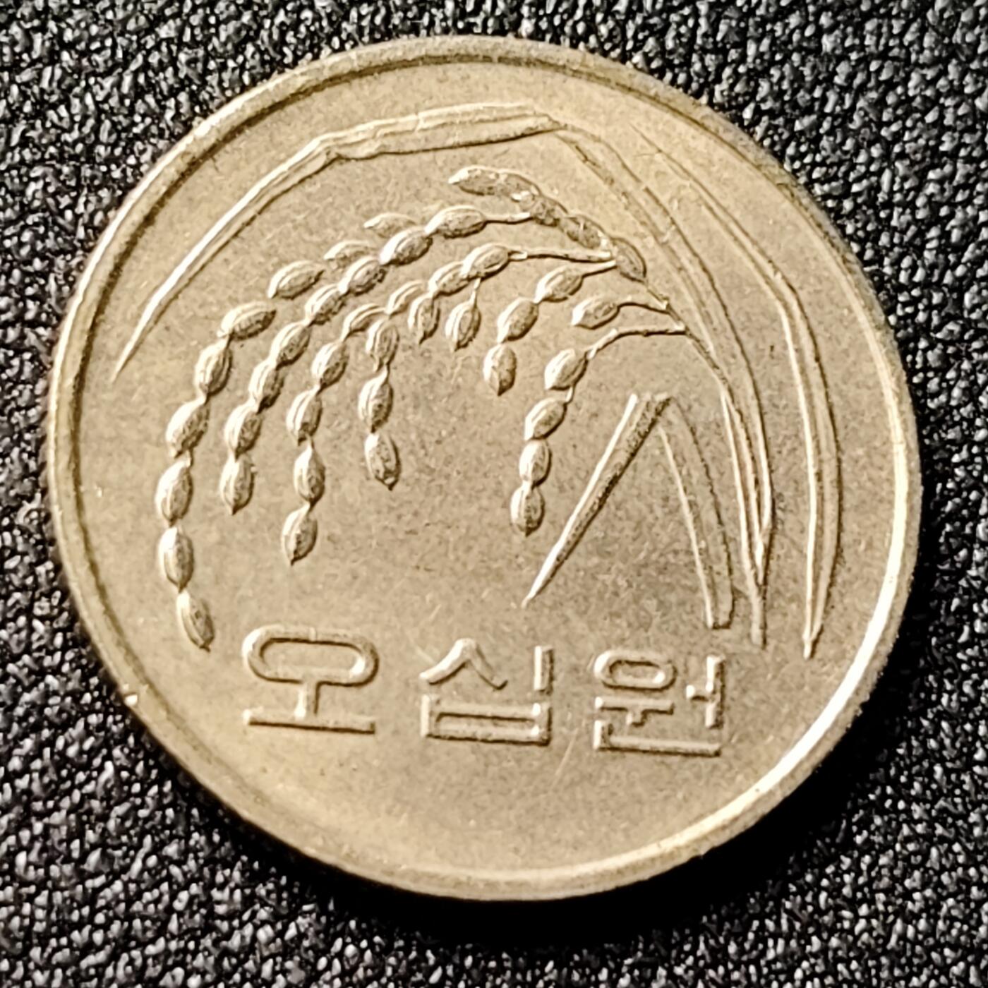 泉币菌-第118场-精品福利场