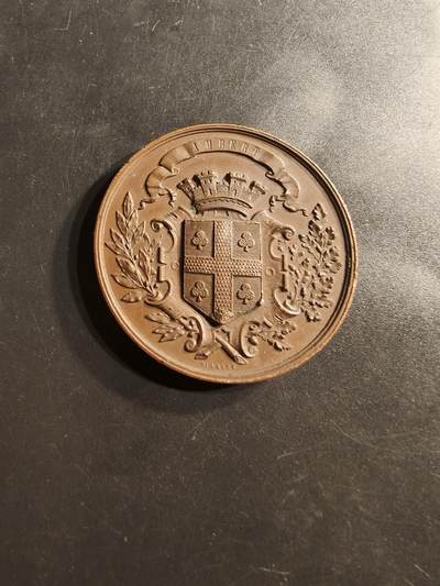 老王徽章第159期 - 法国多姆山省议会赠大铜章     直径46mm.   重量46.6g