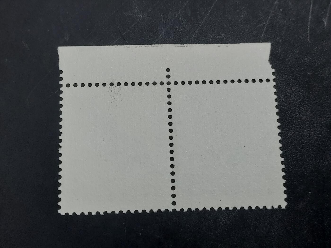 博彦收藏  11月3日 8点 邮票专场 鼠年双联 一枚有轻微手指膜印，一枚全品