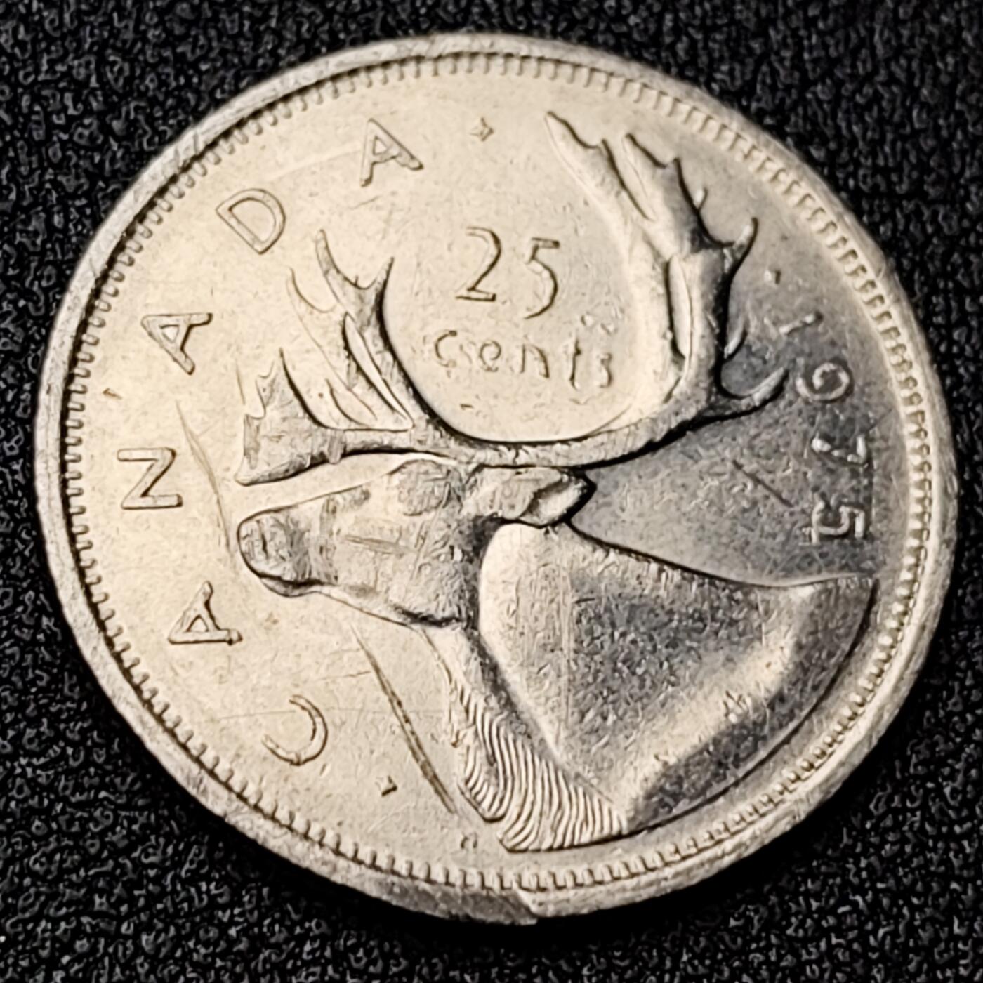 泉币菌-第118场-精品福利场