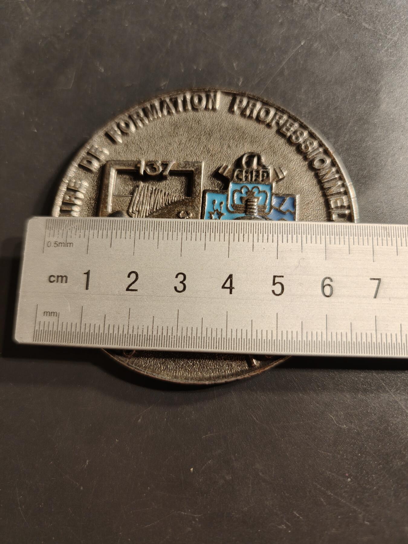 老王徽章第159期  第137步兵团职业培训中心纪念章     带珐琅    直径65mm.    重量82.3g