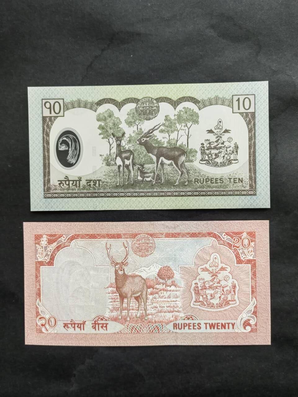 外国纸币专场251028第六十场 尼泊尔🇳🇵2000年20卢比，2005年10卢比塑料纪念钞，全新品相UNC。