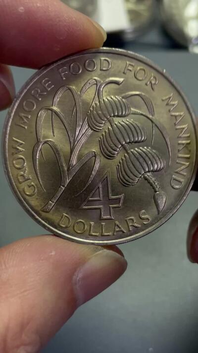 回流1115 蒙特塞拉特1970年4元大铜镍币 FAO系列名誉品 香蕉币 稀少品种 全新品相