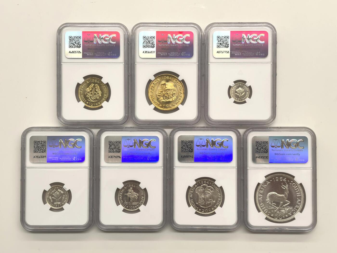 博洋堂世界钱币拍卖第144期（全场包邮）