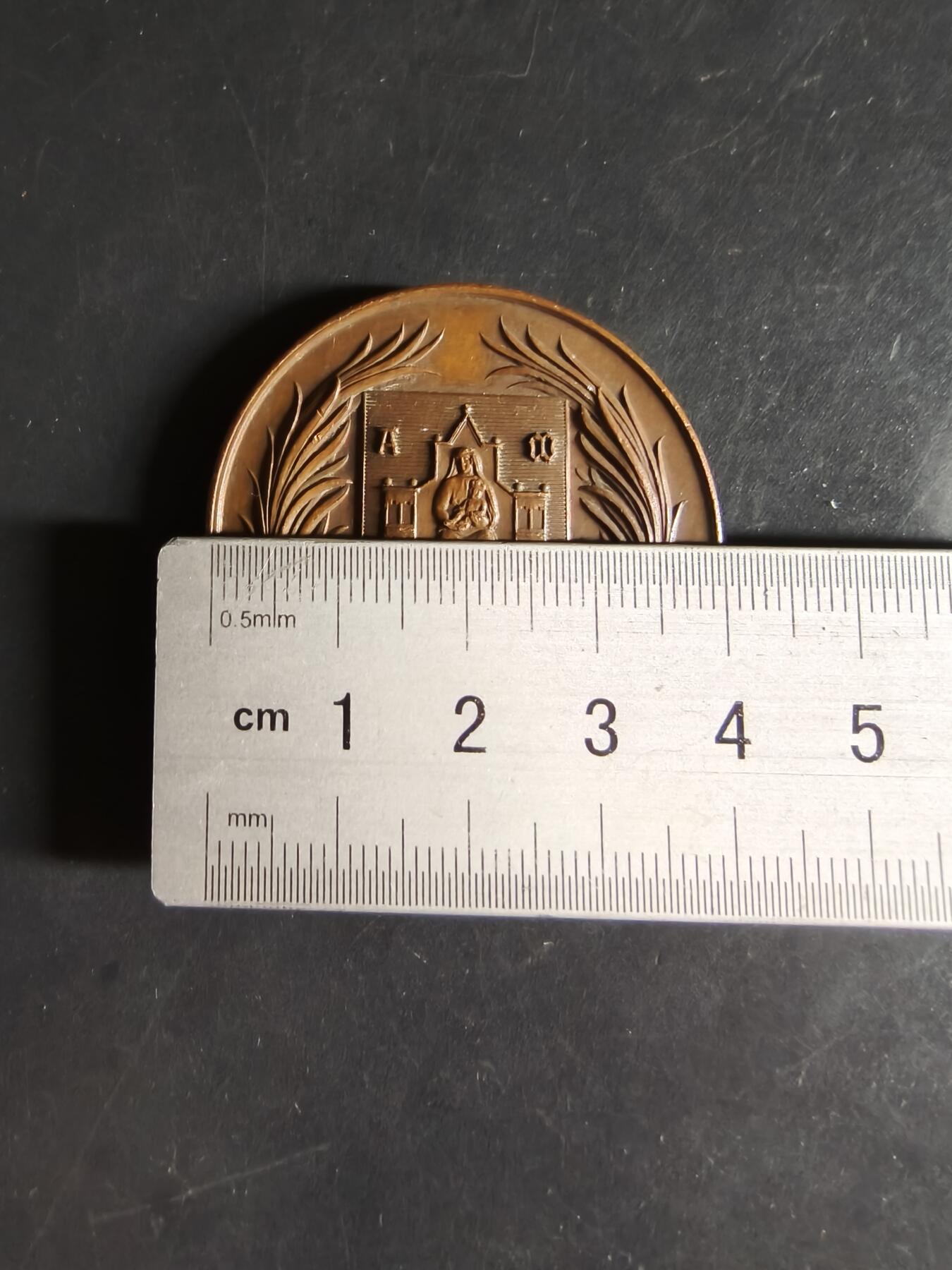 老王徽章第159期  法国蒙彼利埃国立高等美术学院大铜章     直径40mm.    重量34.8g