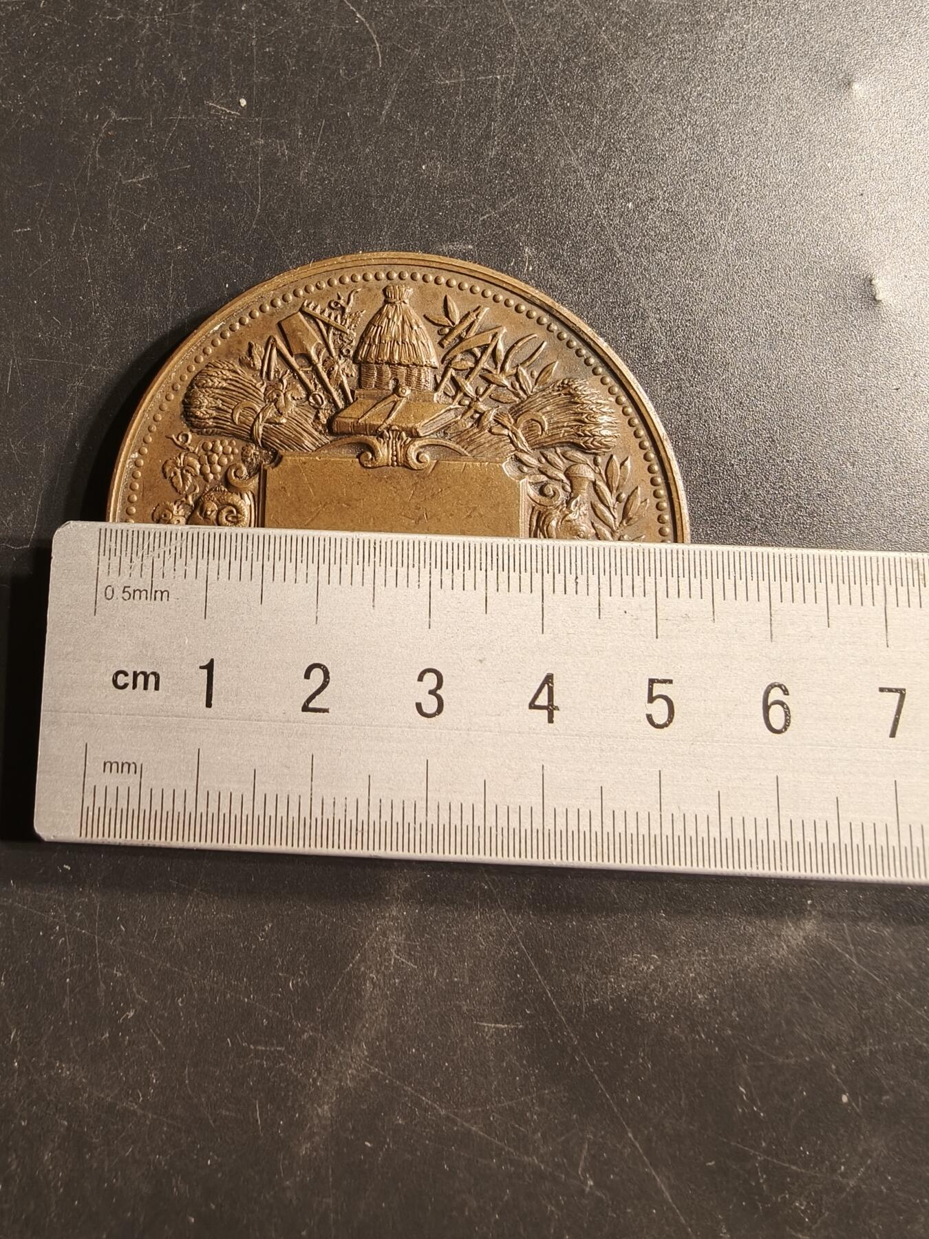 老王徽章第159期 法国农业协会大铜章    直径52mm.   重量82.3g