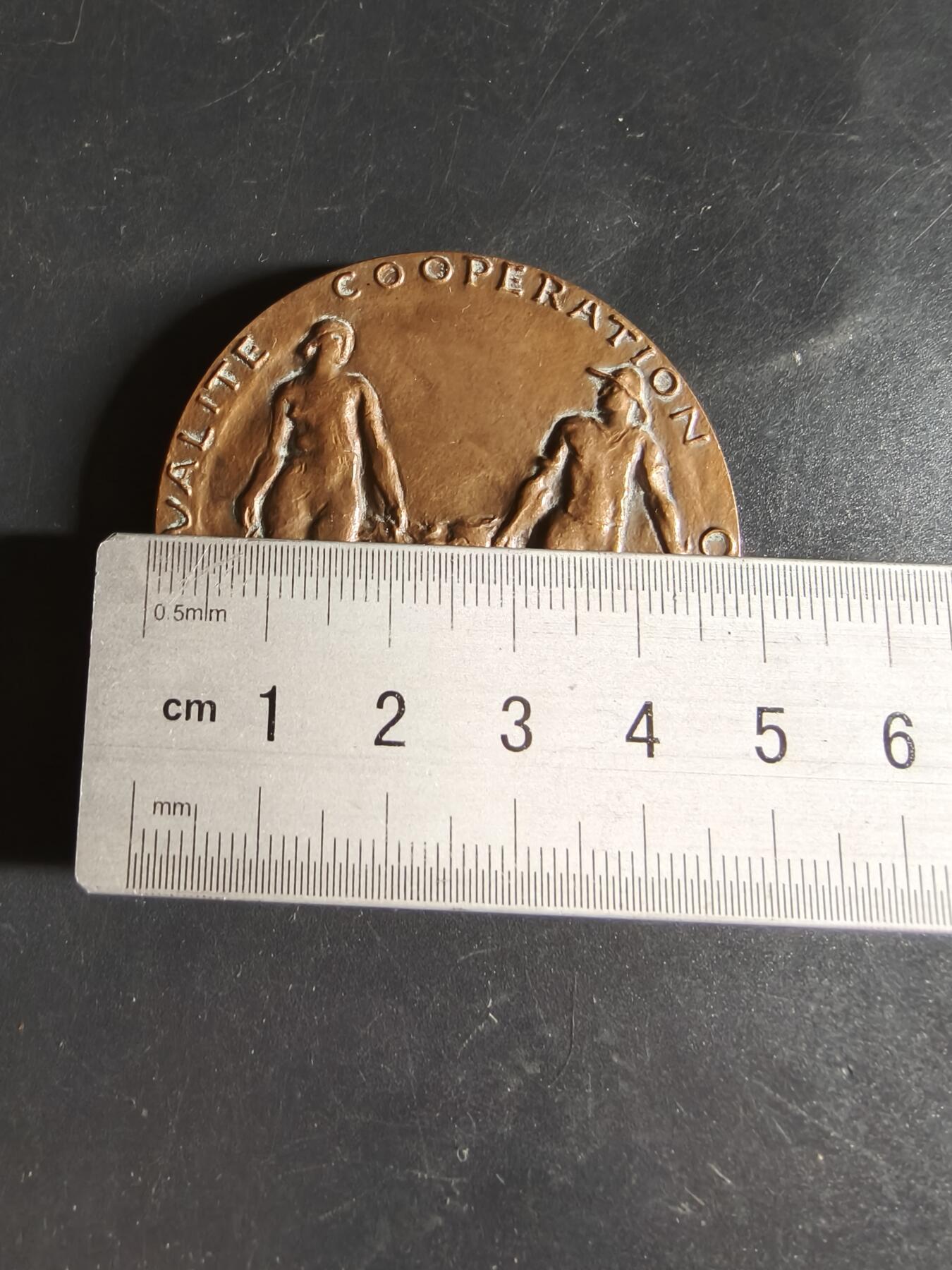 老王徽章第159期   法国农业协会大铜章     大师科尔滨作品     直径50mm.    重量71.5g