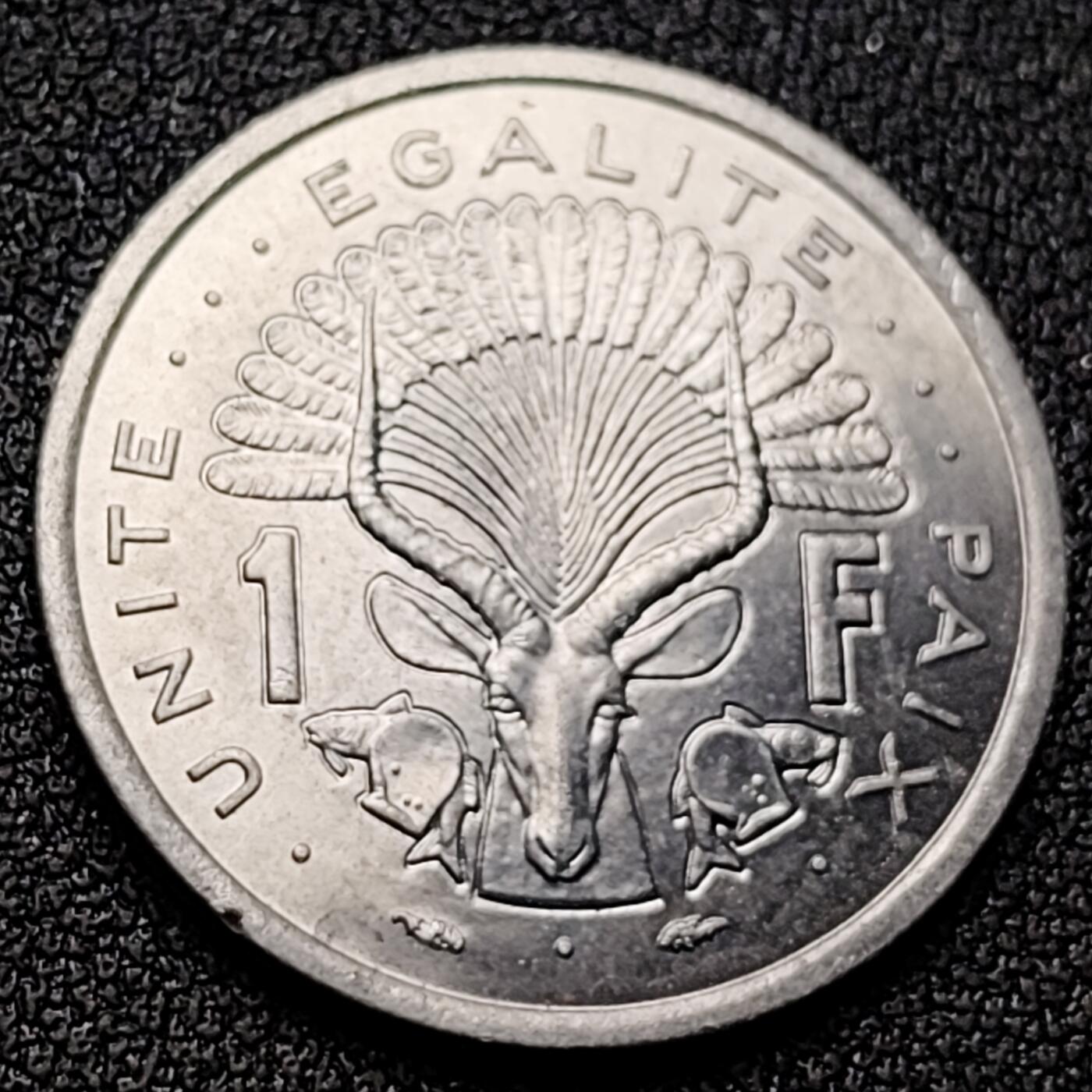 泉币菌-第118场-精品福利场