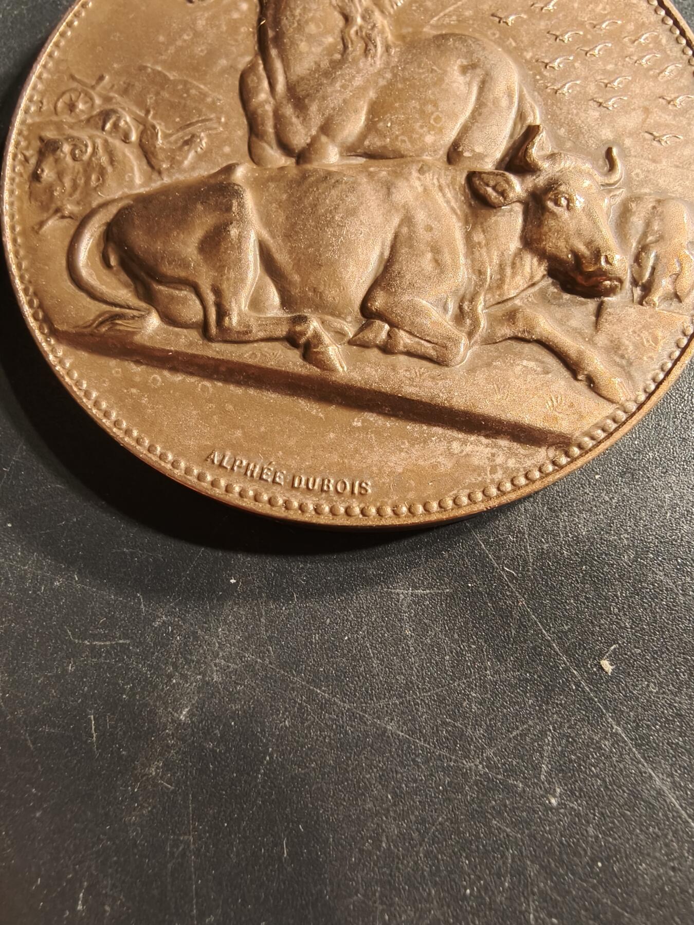 老王徽章第159期 法国养殖业大铜章     阿尔菲杜布瓦作品    直径50mm.   重量64.3g